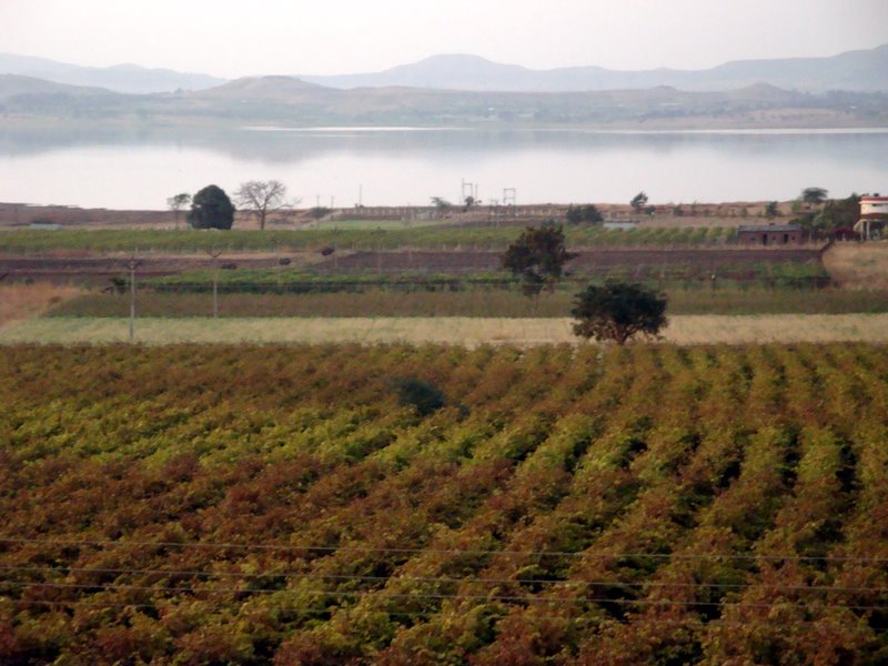 View from York Tasting Room