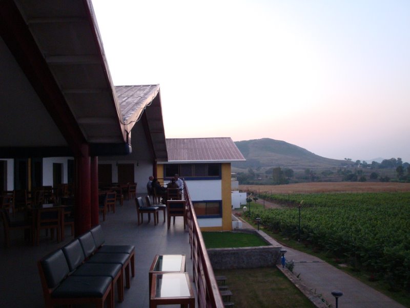 Sula Tasting Room