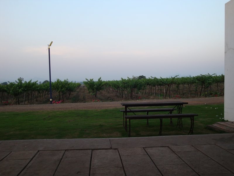 DSC02482