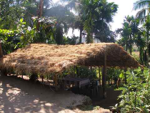Straw Roof Dining Room - Lunch is served !